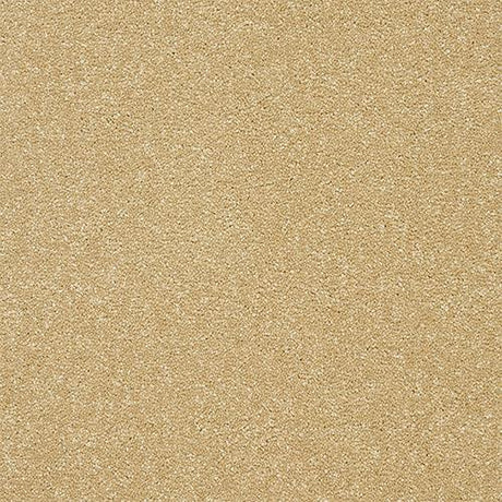 Twist Honey Gold Carpet - Honey Gold / 2.5m