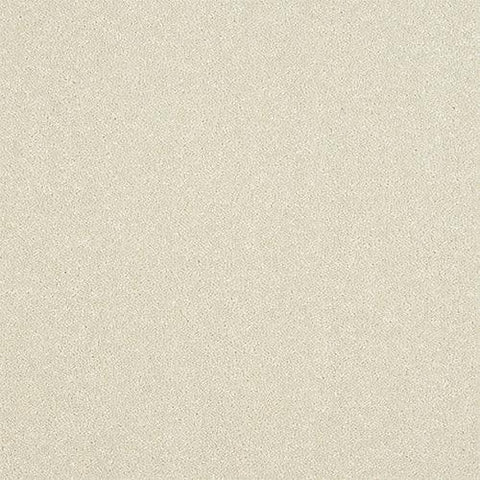Ultra White Whisper Carpet - White Whisper / 2.5m