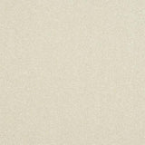Ultra White Whisper Carpet - White Whisper / 2.5m