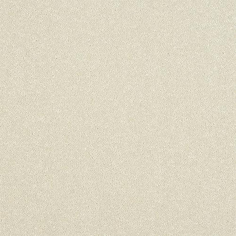 Ultra White Whisper Carpet - White Whisper / 2.5m