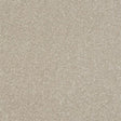 Ultra Parchment Carpet - Parchment / 2.5m