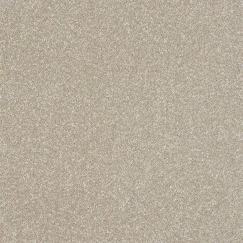 Ultra Parchment Carpet - Parchment / 2.5m
