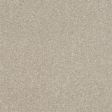 Ultra Parchment Carpet - Parchment / 2.5m