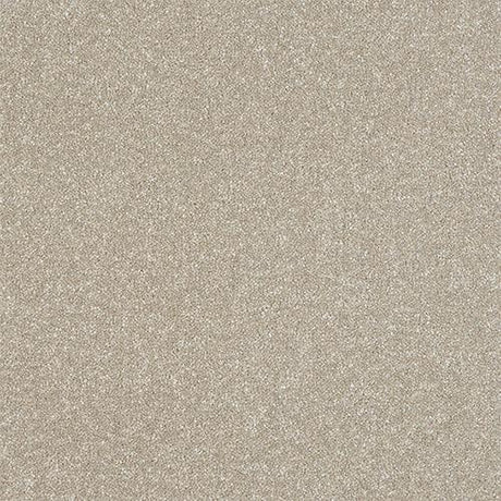 Ultra Parchment Carpet - Parchment / 2.5m
