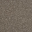 Ultra Dolomite Carpet - Dolomite / 2.5m