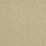 Ultra Antique Cream Carpet - Antique Cream / 2.5m