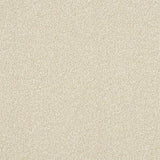 Ultra Powder Carpet - Powder / 2.5m