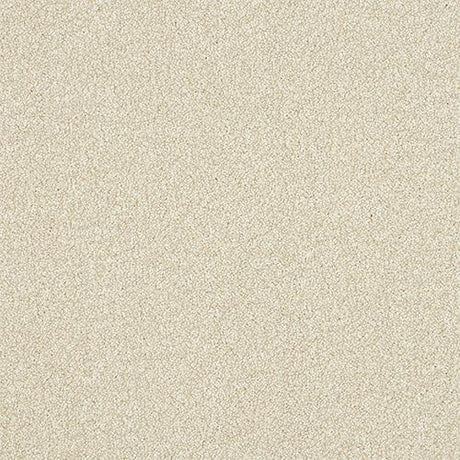 Ultra Powder Carpet - Powder / 2.5m