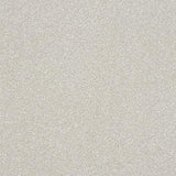 Ultra Stone White Carpet - Stone White / 2.5m