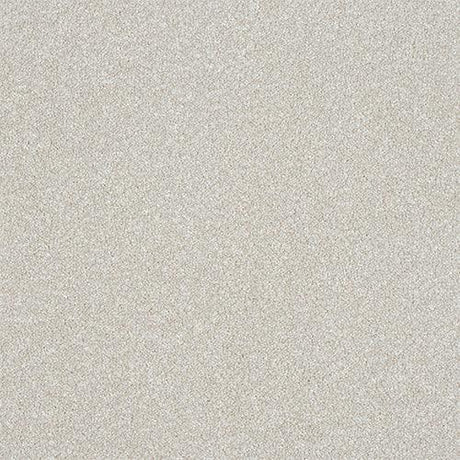 Ultra Stone White Carpet - Stone White / 2.5m