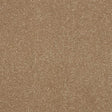 Ultra Cocoa Cream Carpet - Cocoa Cream / 2.5m