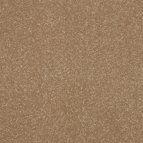 Ultra Cocoa Cream Carpet - Cocoa Cream / 2.5m