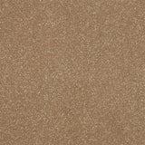 Ultra Cocoa Cream Carpet - Cocoa Cream / 2.5m
