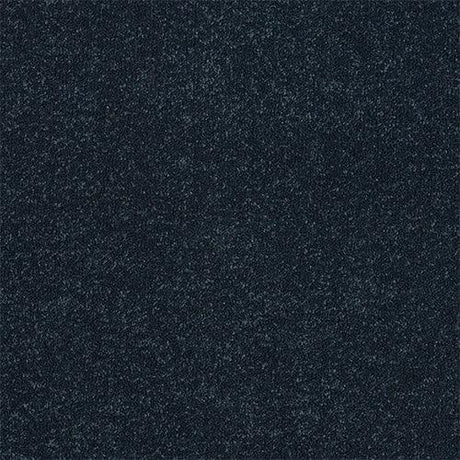 Ultra Wedgewood Carpet - Wedgewood / 2.5m