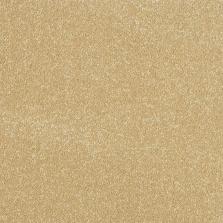 Ultra Hampton Carpet - Hampton / 2.5m
