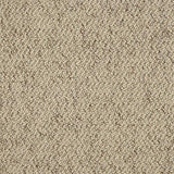 Country Weave Biscotti Carpet - Biscotti / 2.5m