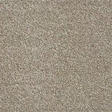 Rustique Twist Hopsack Carpet - Hopsack / 2.5m