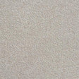 Rustique Twist Greystone Carpet - Greystone / 2.5m