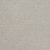 Rustique Twist Greystone Carpet - Greystone / 2.5m