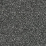 Rustique Twist Ash Grove Carpet - Ash Grove / 2.5m