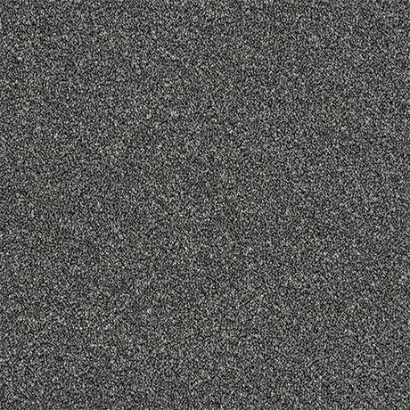 Rustique Twist Ash Grove Carpet - Ash Grove / 2.5m