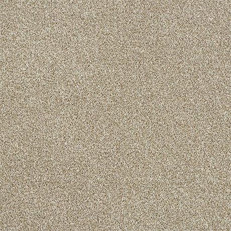 Rustique Twist Driftwood Carpet - Driftwood / 2.5m
