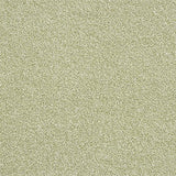 Rustique Twist Spring Bud Carpet - Spring Bud / 2.5m