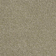 Rustique Twist Sedge Carpet - Sedge / 2.5m