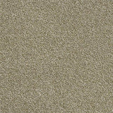 Rustique Twist Sedge Carpet - Sedge / 2.5m