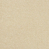 Rustique Twist Savannah Carpet - Savannah / 2.5m