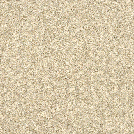 Rustique Twist Savannah Carpet - Savannah / 2.5m