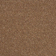 Rustique Ultra Harvest Festival Carpet - Harvest Festival / 2.5m