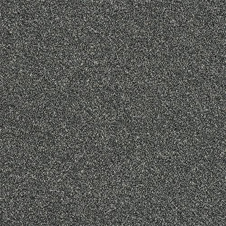 Rustique Ultra Ash Grove Carpet - Ash Grove / 2.5m