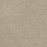 Rustique Ultra Driftwood Carpet - Driftwood / 2.5m