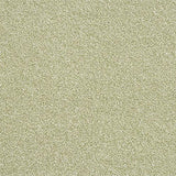 Rustique Ultra Spring Bud Carpet - Spring Bud / 2.5m