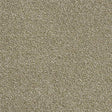 Rustique Ultra Sedge Carpet - Sedge / 2.5m