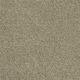 Rustique Ultra Sedge Carpet - Sedge / 2.5m