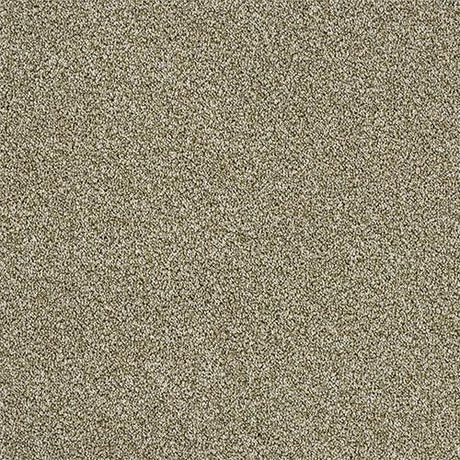 Rustique Ultra Sedge Carpet - Sedge / 2.5m