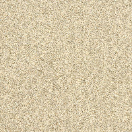 Rustique Ultra Savannah Carpet - Savannah / 2.5m