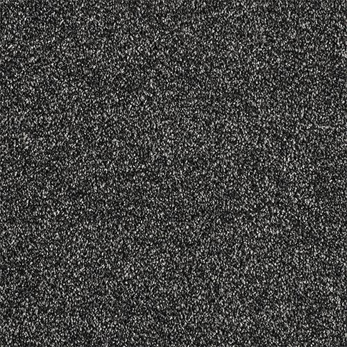 Soft Whisper Anthracite Carpet - Anthracite / 2.5m