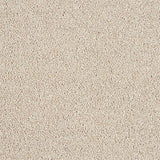 Soft Whisper Chiffon Carpet - Chiffon / 2.5m