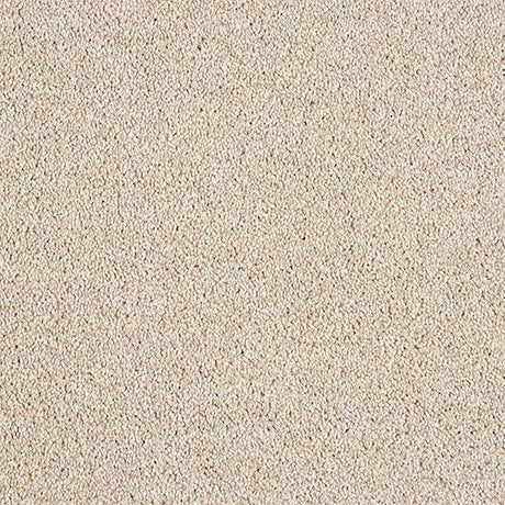 Soft Whisper Chiffon Carpet - Chiffon / 2.5m