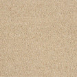 Soft Whisper Caramel Cream Carpet - Caramel Cream / 2.5m