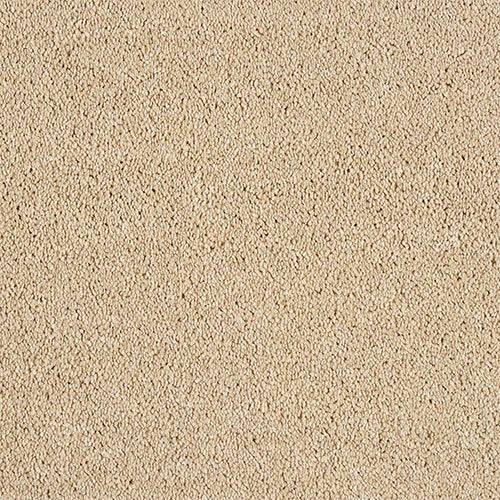 Soft Whisper Caramel Cream Carpet - Caramel Cream / 2.5m