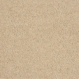 Soft Whisper Caramel Cream Carpet - Caramel Cream / 2.5m