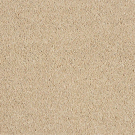 Soft Whisper Caramel Cream Carpet - Caramel Cream / 2.5m
