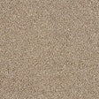 Soft Whisper Tapestry Carpet - Tapestry / 2.5m