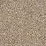 Soft Whisper Tapestry Carpet - Tapestry / 2.5m