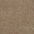 Soft Whisper Velvet Taupe Carpet - Velvet Taupe / 2.5m