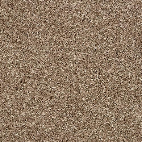Soft Whisper Velvet Taupe Carpet - Velvet Taupe / 2.5m